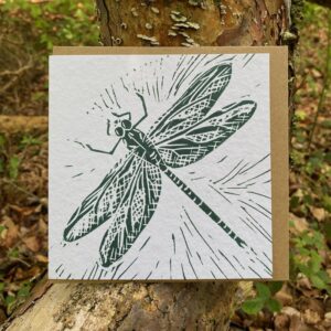 Emperor Dragonfly Card