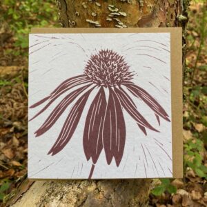 Echinacea Card