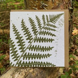Fern Card