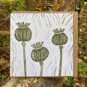 Poppy Seedheads Card