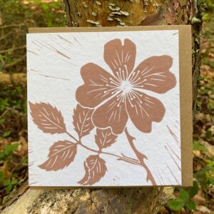 Wild Rose Card