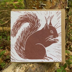 Red Squirrel Card