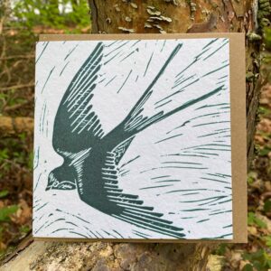 Swallow Card