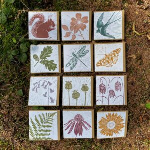 Set of 12 Cards - Complete Set